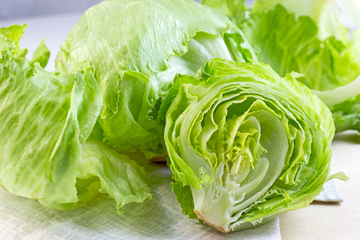  Baby-Gem-Lettuce-Supplier-In-India
